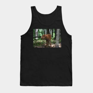 Bison Calf Tank Top